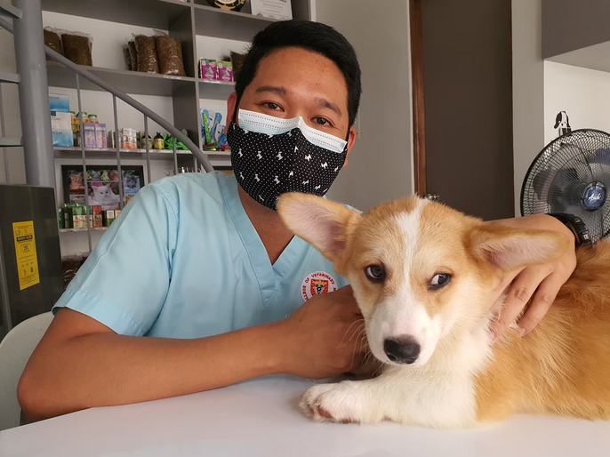 vet
